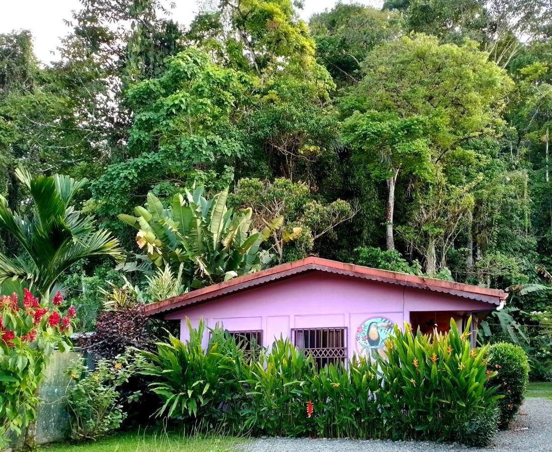 Casa Alegra Apartment Puerto Viejo de Talamanca Exterior photo