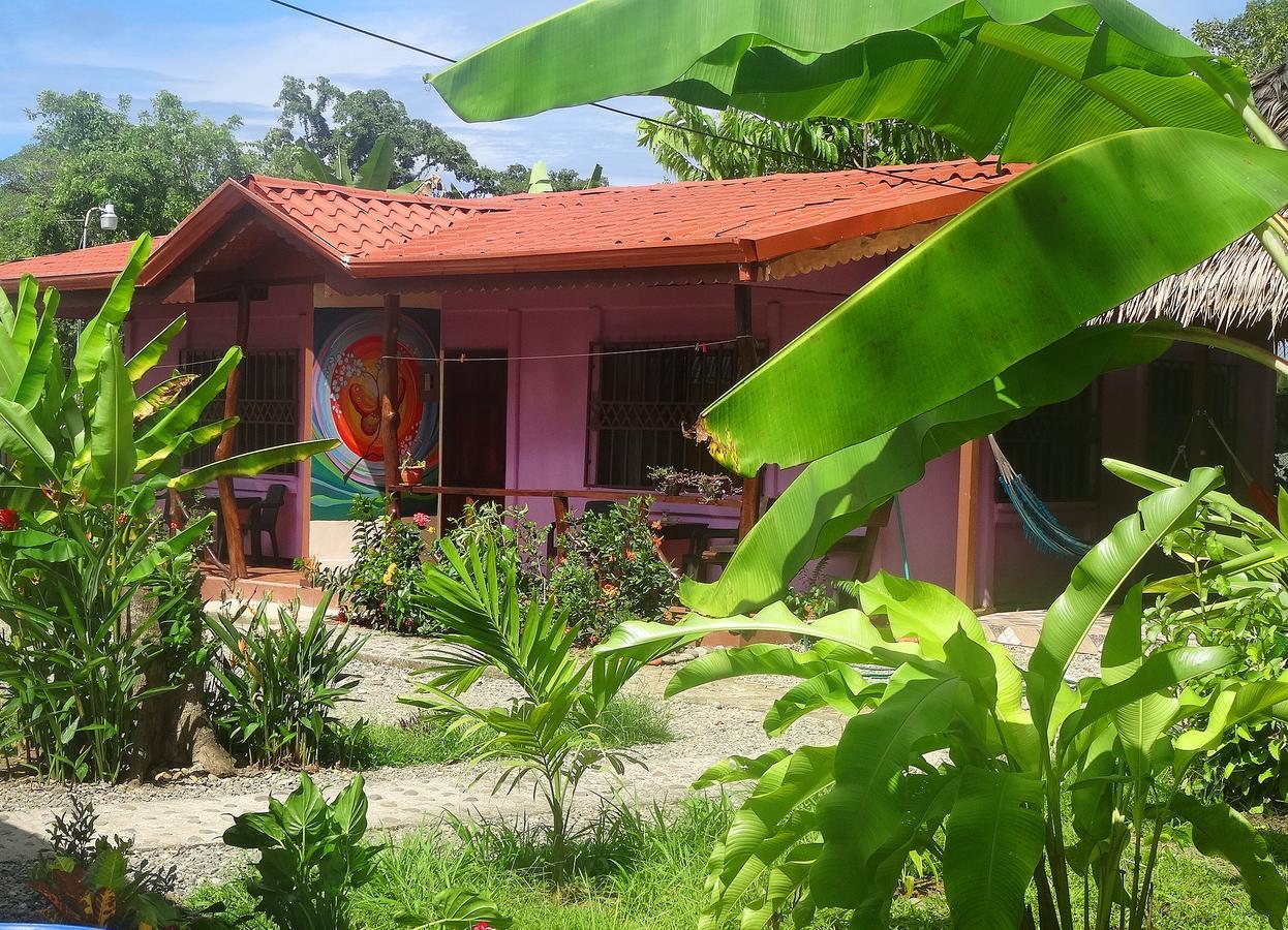 Casa Alegra Apartment Puerto Viejo de Talamanca Exterior photo