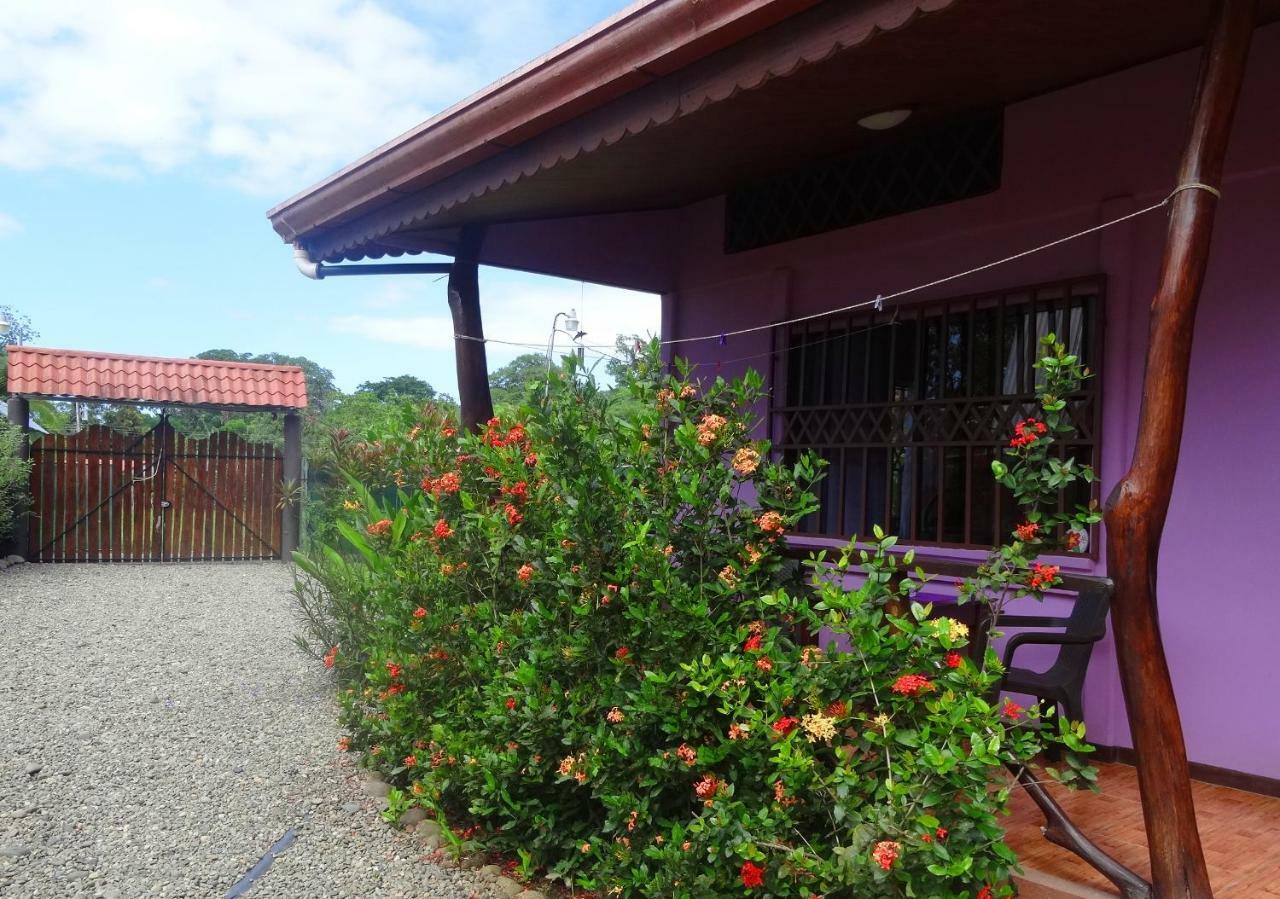 Casa Alegra Apartment Puerto Viejo de Talamanca Exterior photo